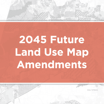 2045LUM_Amendments2