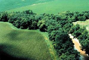 Aerial shot of green land, trees, and a band of water and sediment running between the trees